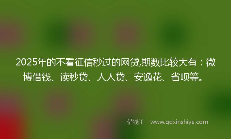 2025年的不看征信秒过的网贷,期数比较大有：微博借钱、读秒贷、人人贷、安逸花、省呗等。