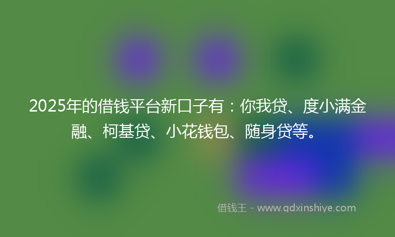 2025年的借钱平台新口子有：你我贷、度小满金融、柯基贷、小花钱包、随身贷等。