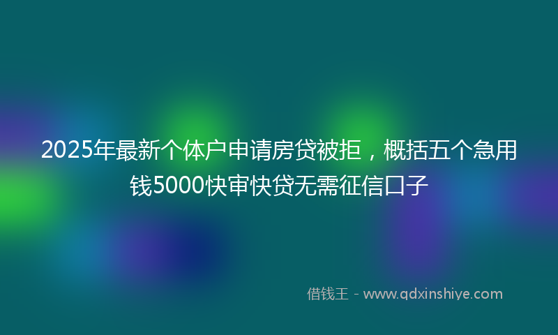 2025年最新个体户申请房贷被拒，概括五个急用钱5000快审快贷无需征信口子