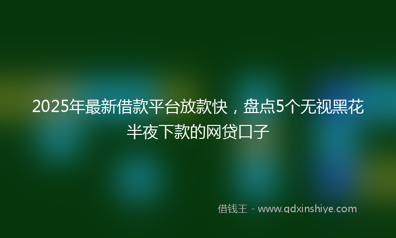 2025年最新借款平台放款快，盘点5个无视黑花半夜下款的网贷口子