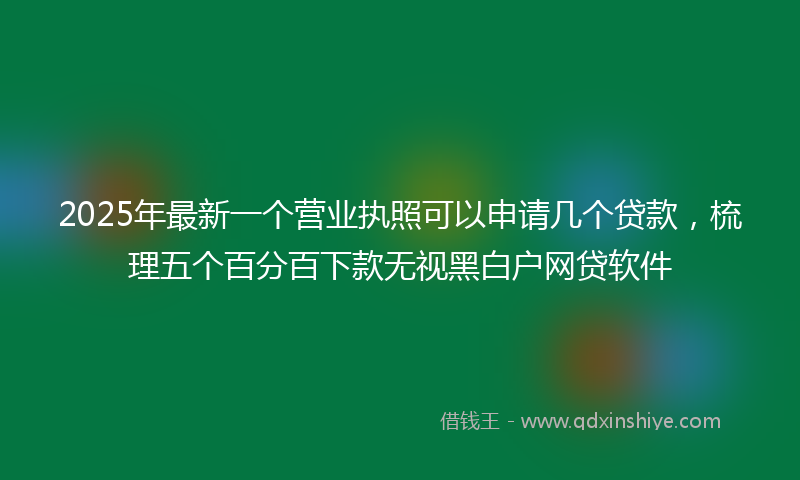 2025年最新一个营业执照可以申请几个贷款，梳理五个百分百下款无视黑白户网贷软件