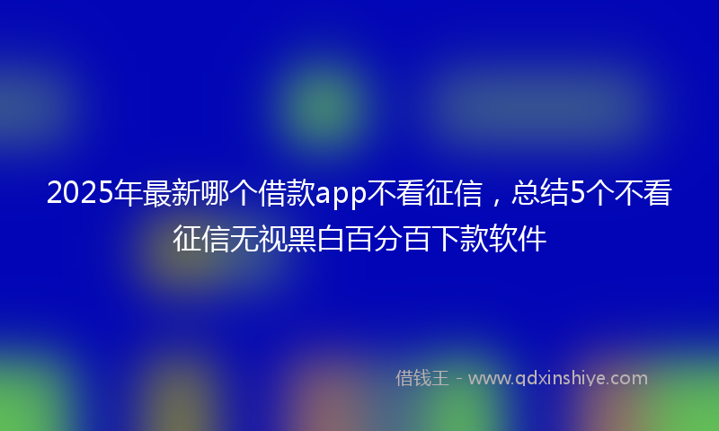 2025年最新哪个借款app不看征信，总结5个不看征信无视黑白百分百下款软件