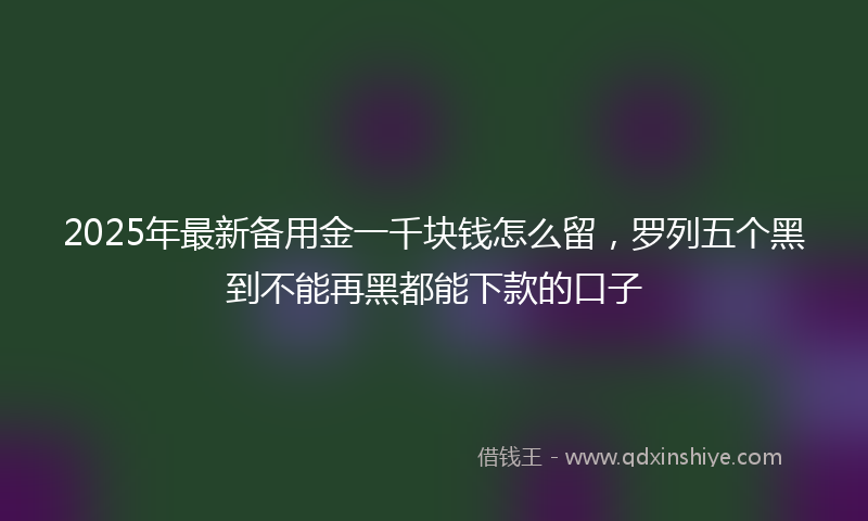 2025年最新备用金一千块钱怎么留，罗列五个黑到不能再黑都能下款的口子