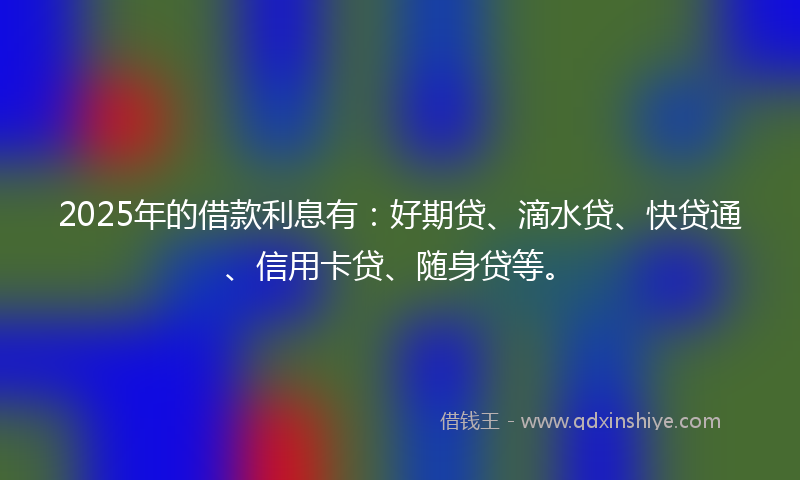 2025年的借款利息有：好期贷、滴水贷、快贷通、信用卡贷、随身贷等。