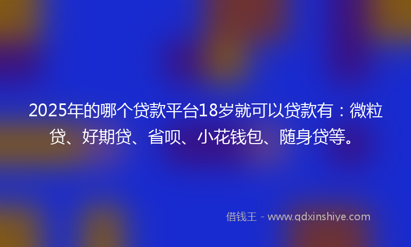2025年的哪个贷款平台18岁就可以贷款有：微粒贷、好期贷、省呗、小花钱包、随身贷等。