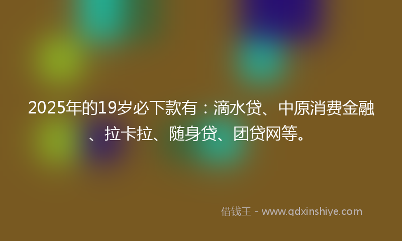 2025年的19岁必下款有：滴水贷、中原消费金融、拉卡拉、随身贷、团贷网等。