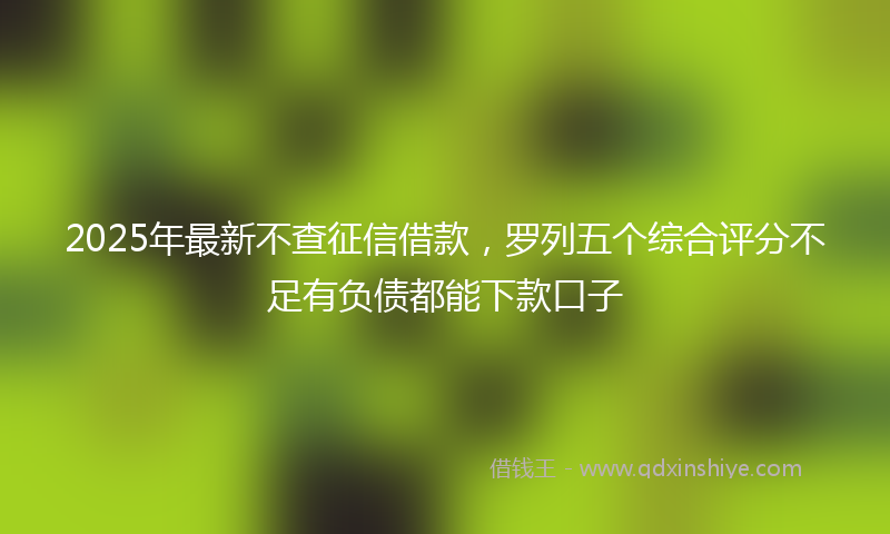 2025年最新不查征信借款，罗列五个综合评分不足有负债都能下款口子