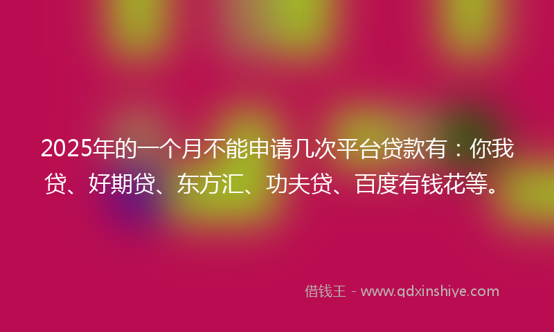 2025年的一个月不能申请几次平台贷款有：你我贷、好期贷、东方汇、功夫贷、百度有钱花等。