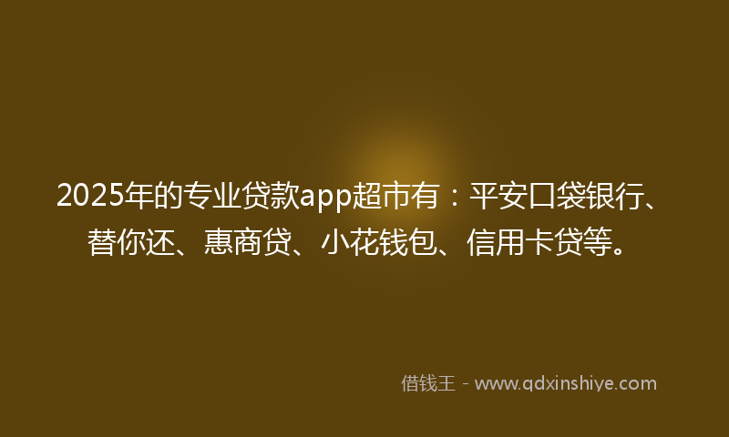 2025年的专业贷款app超市有：平安口袋银行、替你还、惠商贷、小花钱包、信用卡贷等。