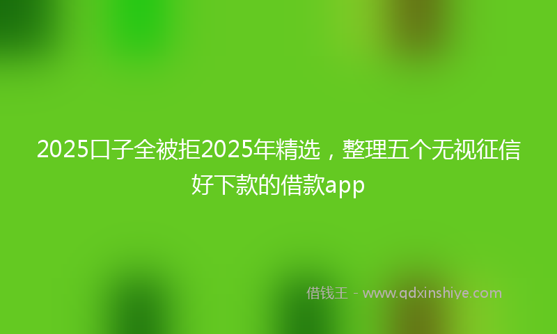 2025口子全被拒2025年精选，整理五个无视征信好下款的借款app
