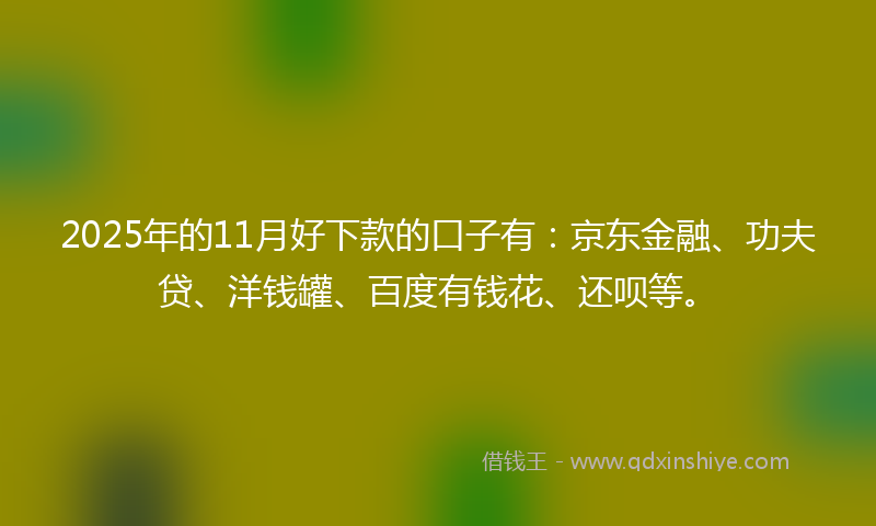 2025年的11月好下款的口子有：京东金融、功夫贷、洋钱罐、百度有钱花、还呗等。