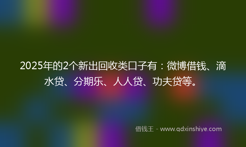 2025年的2个新出回收类口子有：微博借钱、滴水贷、分期乐、人人贷、功夫贷等。