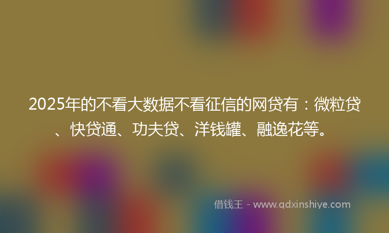 2025年的不看大数据不看征信的网贷有：微粒贷、快贷通、功夫贷、洋钱罐、融逸花等。