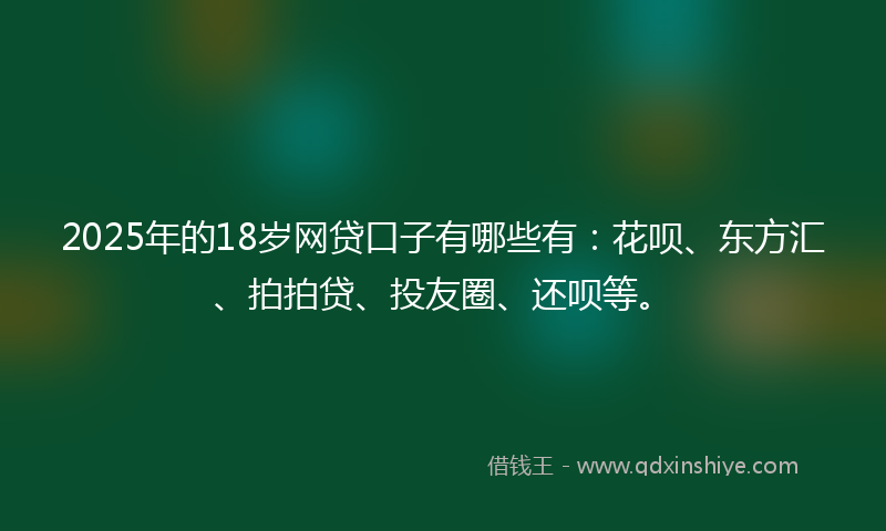 2025年的18岁网贷口子有哪些有：花呗、东方汇、拍拍贷、投友圈、还呗等。