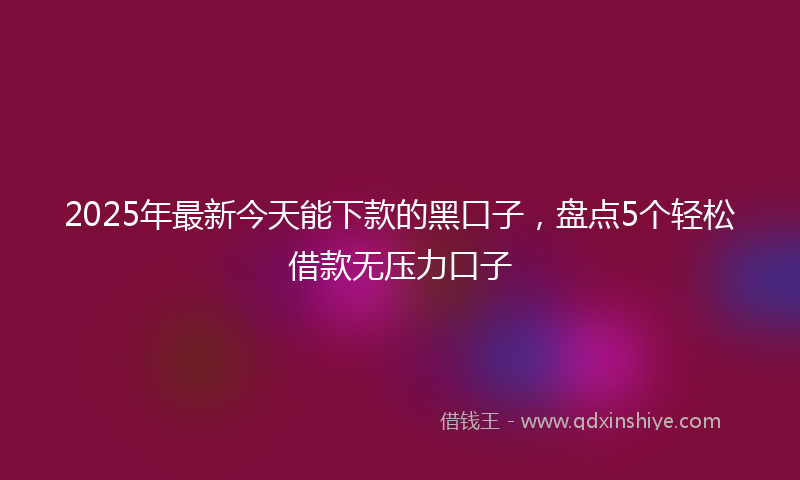 2025年最新今天能下款的黑口子，盘点5个轻松借款无压力口子