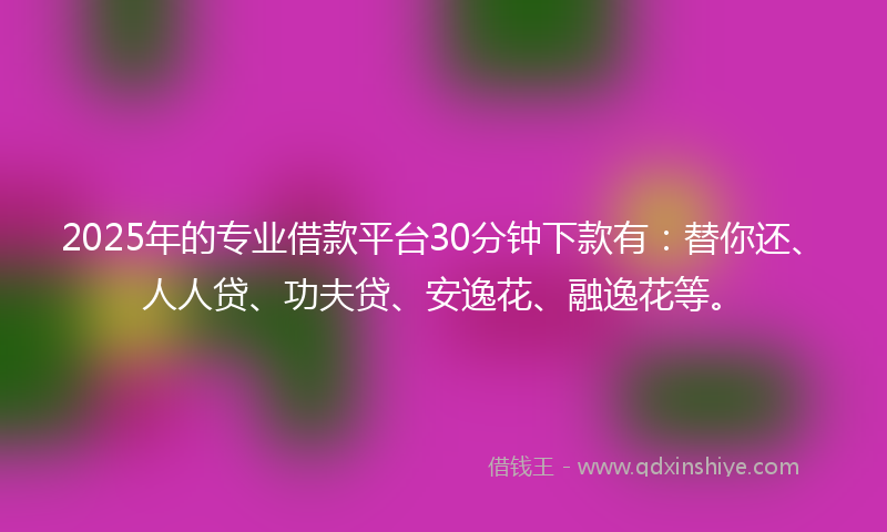 2025年的专业借款平台30分钟下款有：替你还、人人贷、功夫贷、安逸花、融逸花等。