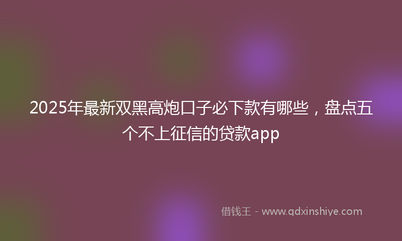 2025年最新双黑高炮口子必下款有哪些，盘点五个不上征信的贷款app