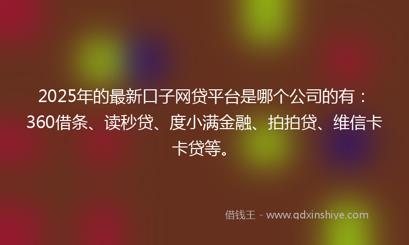 2025年的最新口子网贷平台是哪个公司的有：360借条、读秒贷、度小满金融、拍拍贷、维信卡卡贷等。
