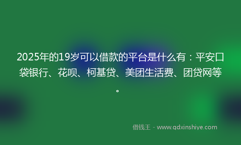2025年的19岁可以借款的平台是什么有：平安口袋银行、花呗、柯基贷、美团生活费、团贷网等。