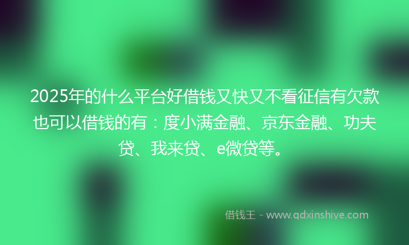 2025年的什么平台好借钱又快又不看征信有欠款也可以借钱的有：度小满金融、京东金融、功夫贷、我来贷、e微贷等。