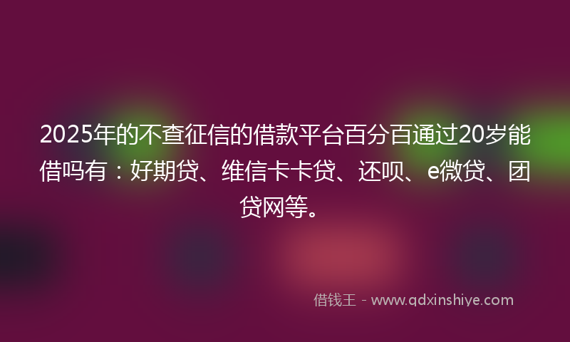 2025年的不查征信的借款平台百分百通过20岁能借吗有：好期贷、维信卡卡贷、还呗、e微贷、团贷网等。