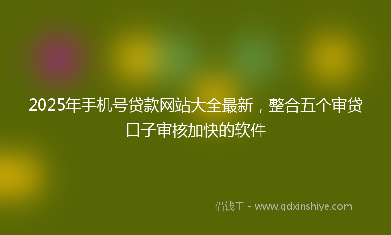 2025年手机号贷款网站大全最新，整合五个审贷口子审核加快的软件