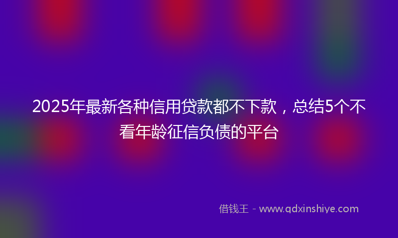 2025年最新各种信用贷款都不下款，总结5个不看年龄征信负债的平台