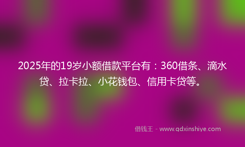 2025年的19岁小额借款平台有：360借条、滴水贷、拉卡拉、小花钱包、信用卡贷等。