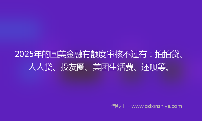 2025年的国美金融有额度审核不过有：拍拍贷、人人贷、投友圈、美团生活费、还呗等。