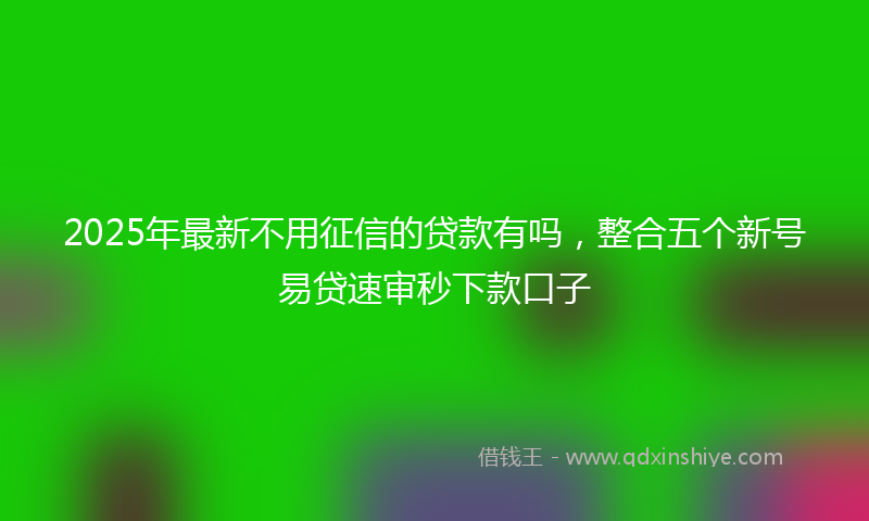 2025年最新不用征信的贷款有吗，整合五个新号易贷速审秒下款口子