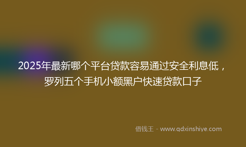 2025年最新哪个平台贷款容易通过安全利息低，罗列五个手机小额黑户快速贷款口子
