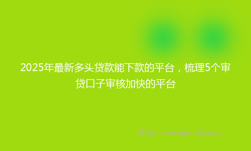 2025年最新多头贷款能下款的平台，梳理5个审贷口子审核加快的平台