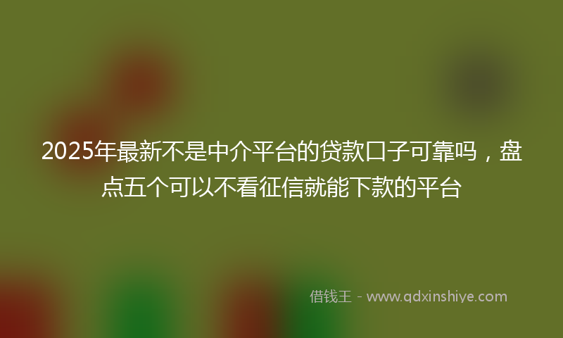 2025年最新不是中介平台的贷款口子可靠吗，盘点五个可以不看征信就能下款的平台