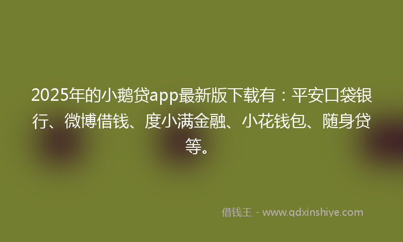 2025年的小鹅贷app最新版下载有：平安口袋银行、微博借钱、度小满金融、小花钱包、随身贷等。