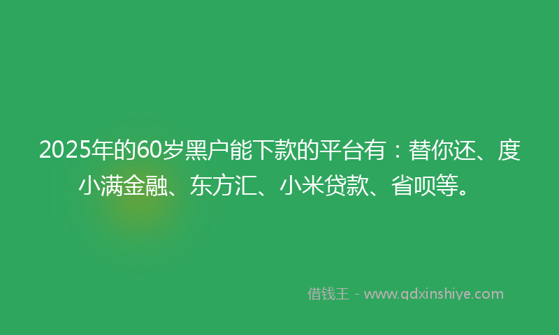 2025年的60岁黑户能下款的平台有：替你还、度小满金融、东方汇、小米贷款、省呗等。