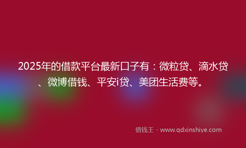 2025年的借款平台最新口子有：微粒贷、滴水贷、微博借钱、平安i贷、美团生活费等。