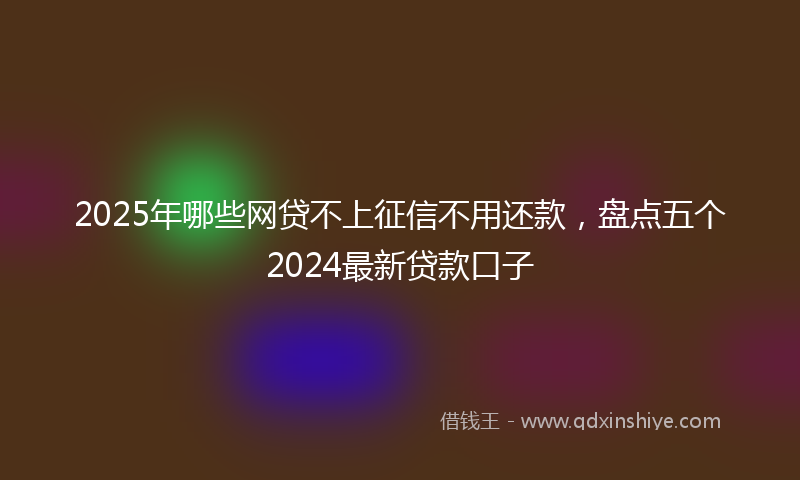 2025年哪些网贷不上征信不用还款，盘点五个2024最新贷款口子