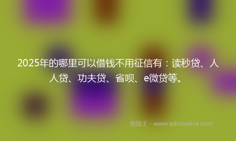 2025年的哪里可以借钱不用征信有：读秒贷、人人贷、功夫贷、省呗、e微贷等。