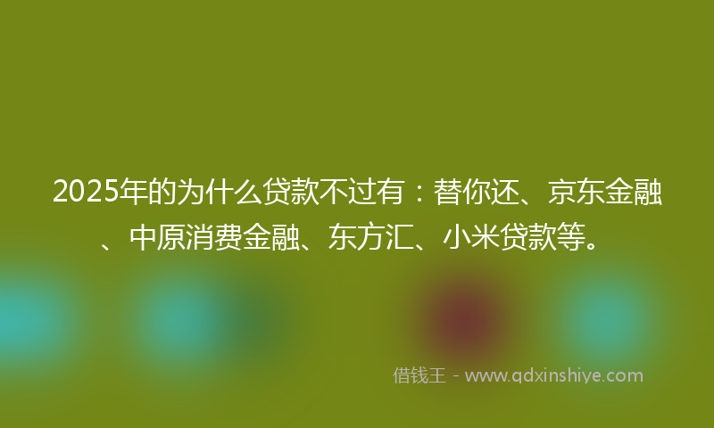 2025年的为什么贷款不过有：替你还、京东金融、中原消费金融、东方汇、小米贷款等。