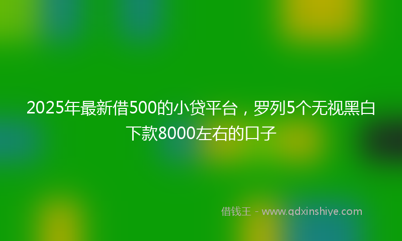 2025年最新借500的小贷平台，罗列5个无视黑白下款8000左右的口子