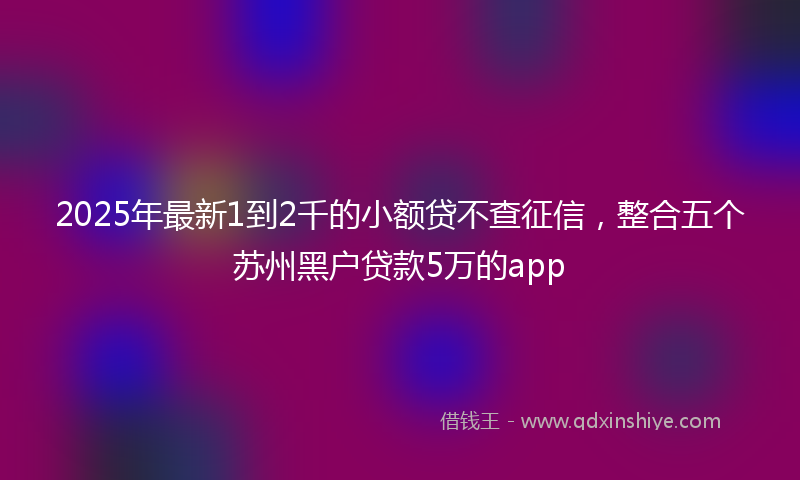 2025年最新1到2千的小额贷不查征信，整合五个苏州黑户贷款5万的app