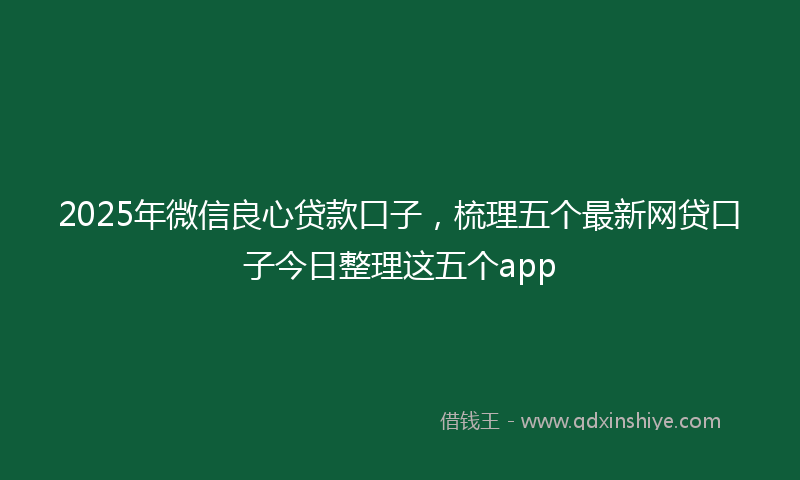 2025年微信良心贷款口子，梳理五个最新网贷口子今日整理这五个app
