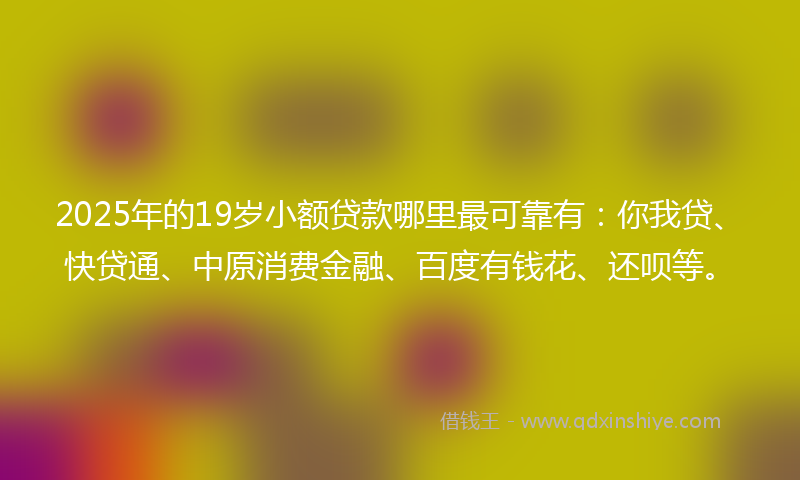 2025年的19岁小额贷款哪里最可靠有：你我贷、快贷通、中原消费金融、百度有钱花、还呗等。