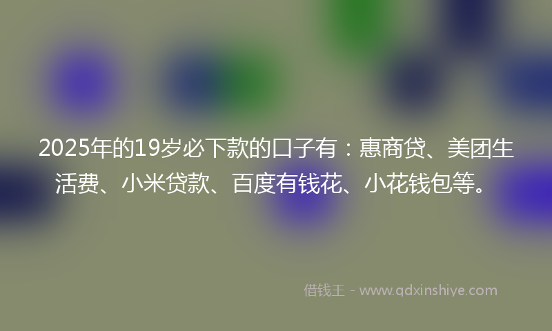 2025年的19岁必下款的口子有：惠商贷、美团生活费、小米贷款、百度有钱花、小花钱包等。