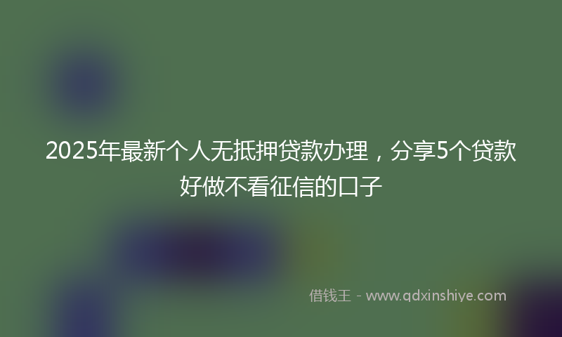 2025年最新个人无抵押贷款办理，分享5个贷款好做不看征信的口子