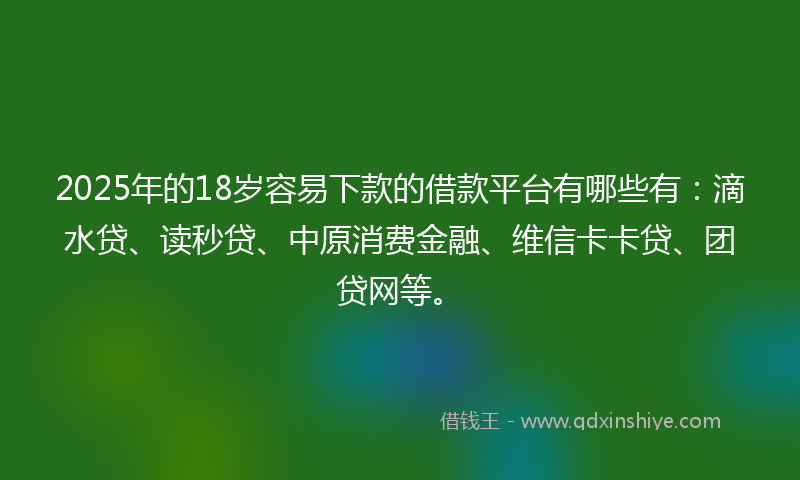 2025年的18岁容易下款的借款平台有哪些有：滴水贷、读秒贷、中原消费金融、维信卡卡贷、团贷网等。