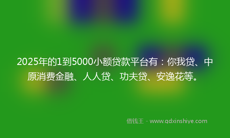 2025年的1到5000小额贷款平台有：你我贷、中原消费金融、人人贷、功夫贷、安逸花等。