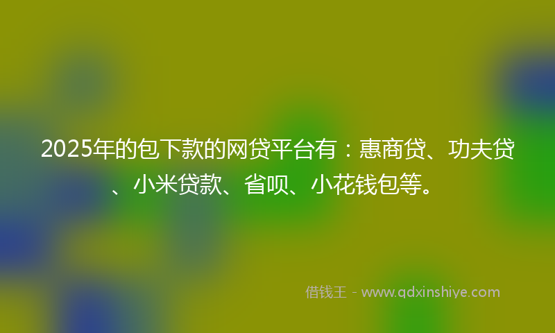 2025年的包下款的网贷平台有：惠商贷、功夫贷、小米贷款、省呗、小花钱包等。