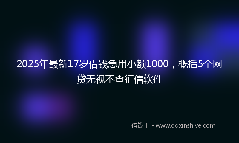 2025年最新17岁借钱急用小额1000，概括5个网贷无视不查征信软件