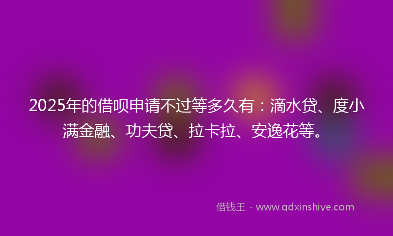 2025年的借呗申请不过等多久有：滴水贷、度小满金融、功夫贷、拉卡拉、安逸花等。